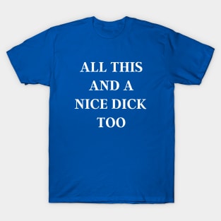 Offensive All This And A Nice Dick Too T-Shirt